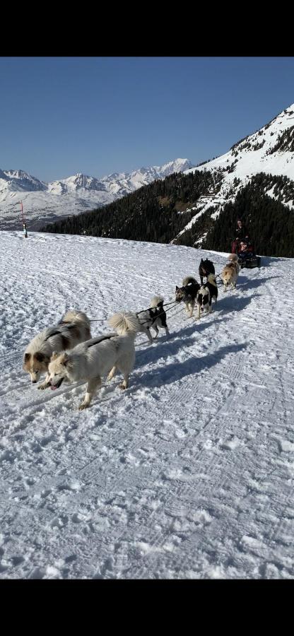 Bel Appartement Ski Aux Pieds Plagne Bellecote La Plagne Exterior foto